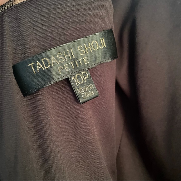 Tadashi Shoji Nude and Black Lace Dress Size 10P - Picture 5 of 5